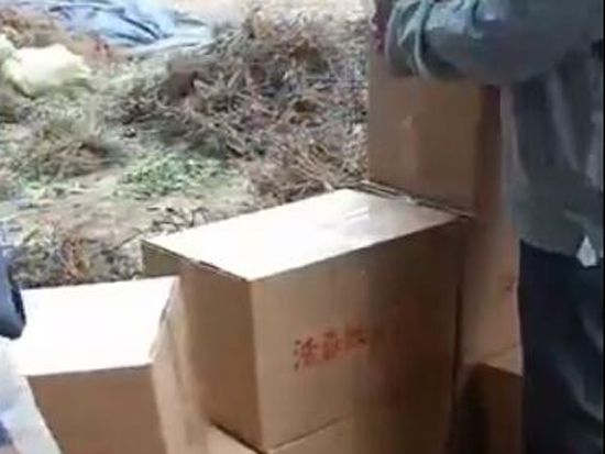 浩森30000棵牡丹芍藥發貨上海