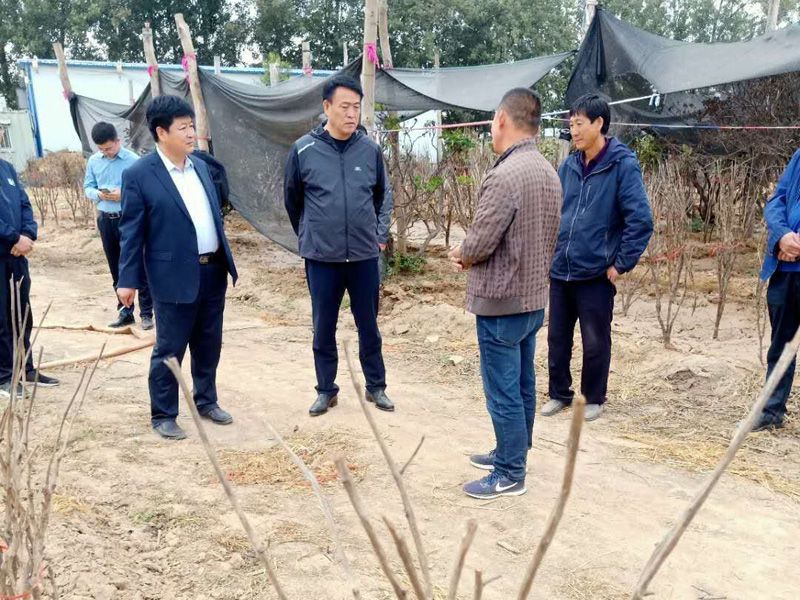 2020年10月5日牡丹區張區長來基地調研
