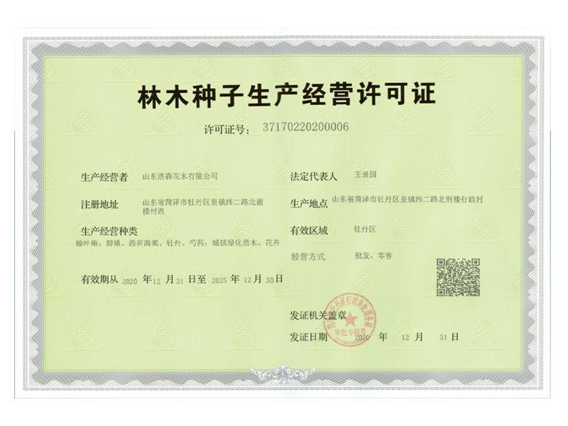 林木種子生產(chǎn)經(jīng)營(yíng)許可證