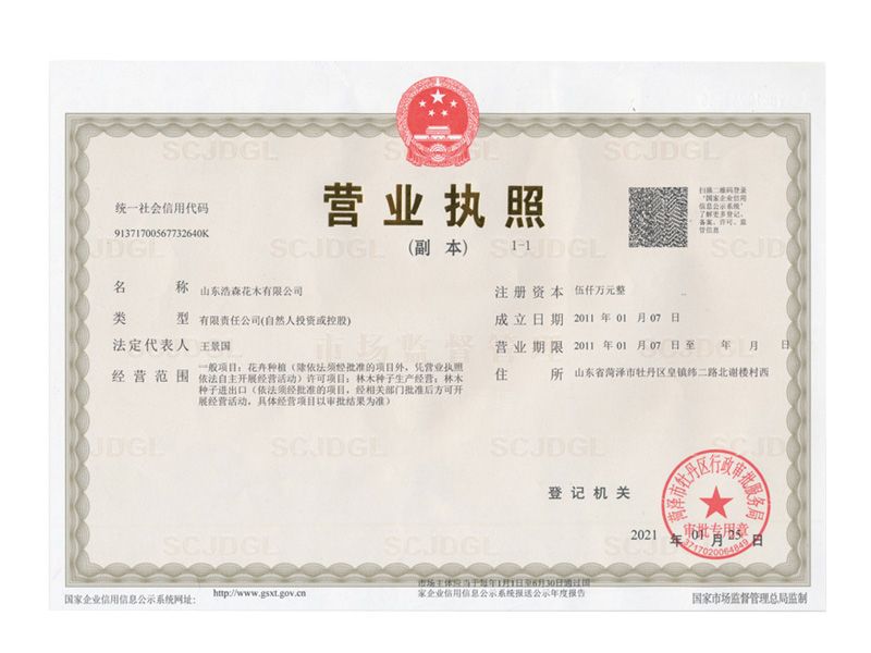 營(yíng)業(yè)執(zhí)照