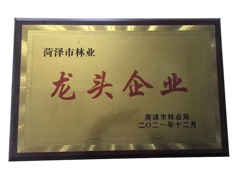 菏澤市林業龍 頭企業